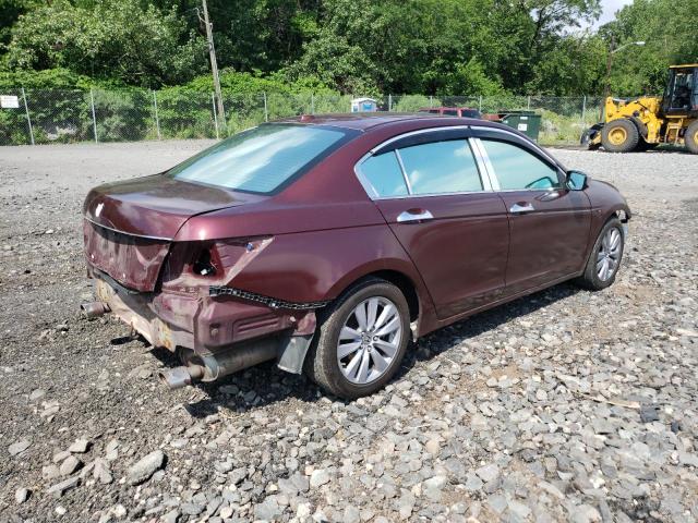 Продаж на аукціоні авто 2011 Honda Accord Exl, vin: 1HGCP3F80BA003390, номер лоту: 58841873