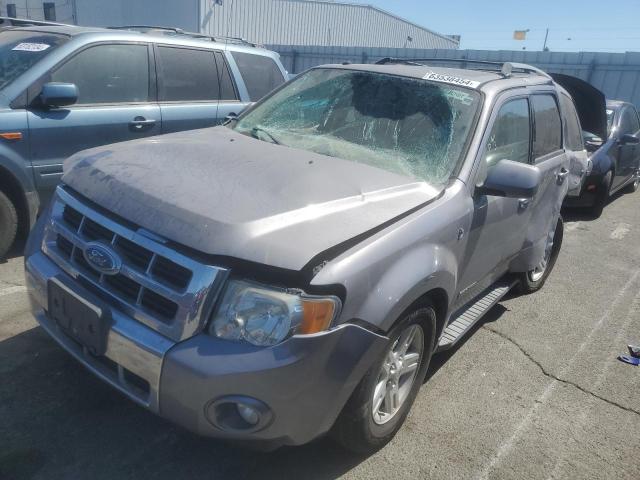 Продаж на аукціоні авто 2008 Ford Escape, vin: 1FMCU49H58KA96012, номер лоту: 63538454