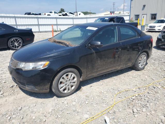 2011 Kia Forte მანქანა იყიდება აუქციონზე, vin: KNAFU4A21B5436803, აუქციონის ნომერი: 77178795