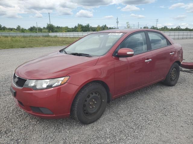 Aukcja sprzedaży 2010 Kia Forte, vin: KNAFU4A21A5088533, numer aukcji: 66334715