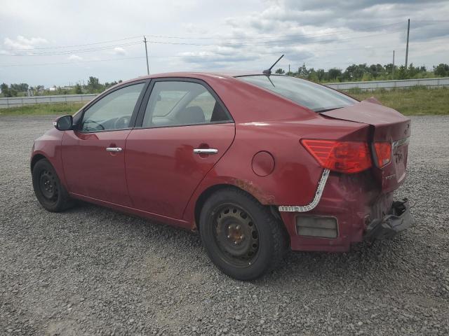 Aukcja sprzedaży 2010 Kia Forte, vin: KNAFU4A21A5088533, numer aukcji: 66334715