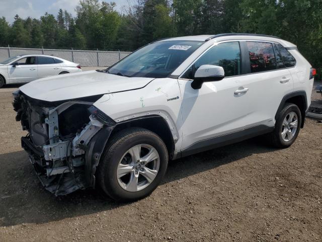 64175715 :رقم المزاد ، 2T3BWRFV4KW039221 vin ، 2019 Toyota Rav4 مزاد بيع