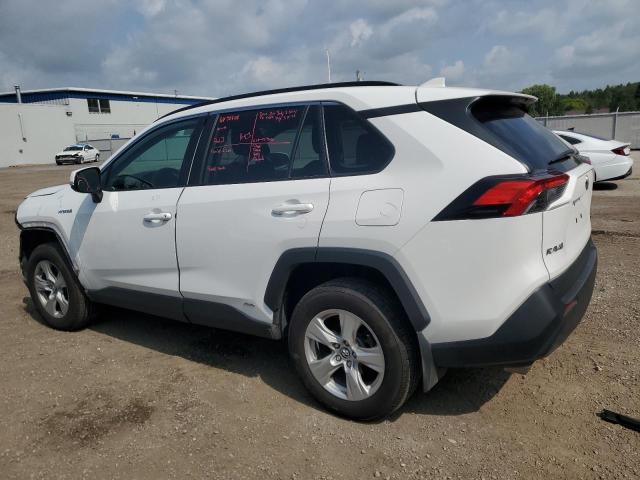 64175715 :رقم المزاد ، 2T3BWRFV4KW039221 vin ، 2019 Toyota Rav4 مزاد بيع