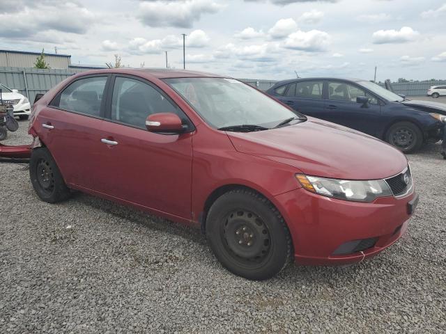 Aukcja sprzedaży 2010 Kia Forte, vin: KNAFU4A21A5088533, numer aukcji: 66334715