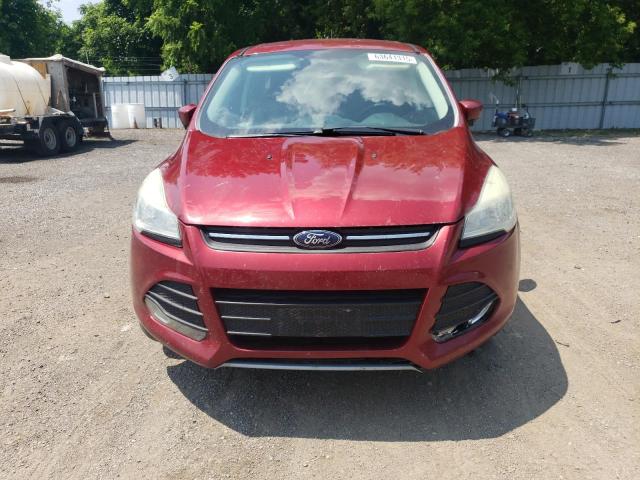 63641315 :رقم المزاد ، 1FMCU0GX9EUA47883 vin ، 2014 Ford Escape مزاد بيع