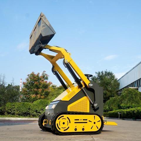 Продажа на аукционе авто 2025 Other Skid Steer, vin: 3810442, номер лота: 64847885