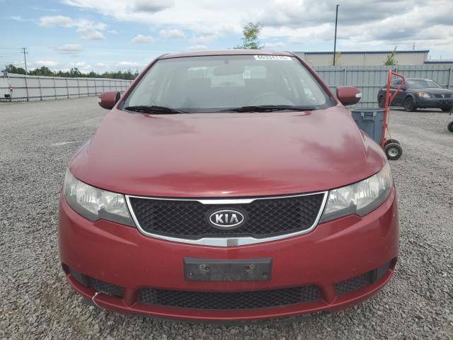 Aukcja sprzedaży 2010 Kia Forte, vin: KNAFU4A21A5088533, numer aukcji: 66334715