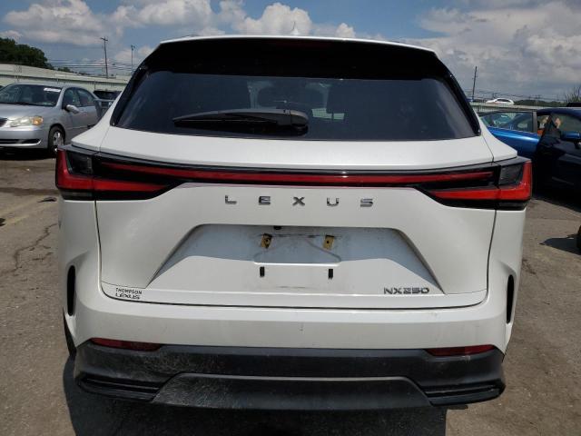 Продаж на аукціоні авто 2024 Lexus Nx 250 Bas, vin: 2T2ADCAZ0RC007200, номер лоту: 63154235