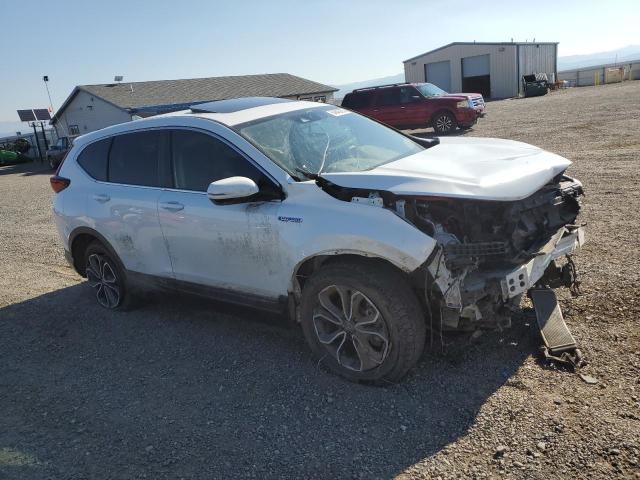 64846805 :رقم المزاد ، 7FART6H58LE014000 vin ، 2020 Honda Cr-v Ex مزاد بيع