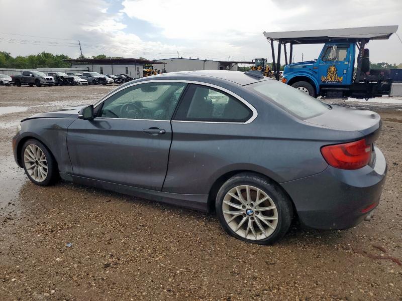 Aukcja sprzedaży 2014 Bmw 228 I, vin: WBA1F5C55EVV99167, numer aukcji: 63876365