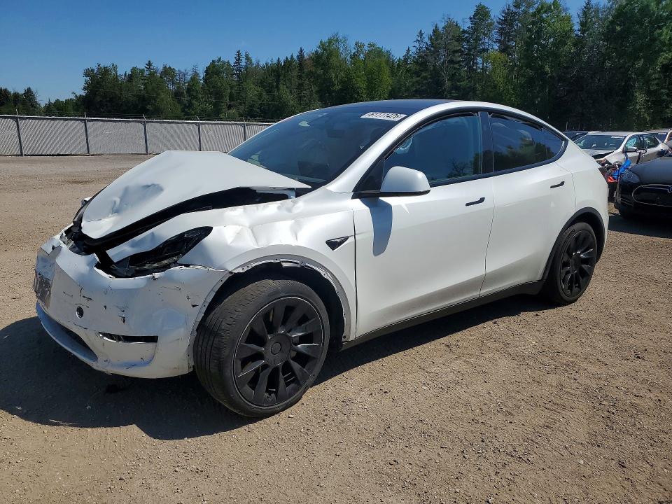 Auction sale of the 2024 Tesla Model Y, vin: 7SAYGDED8RF025084, lot number: 61111426
