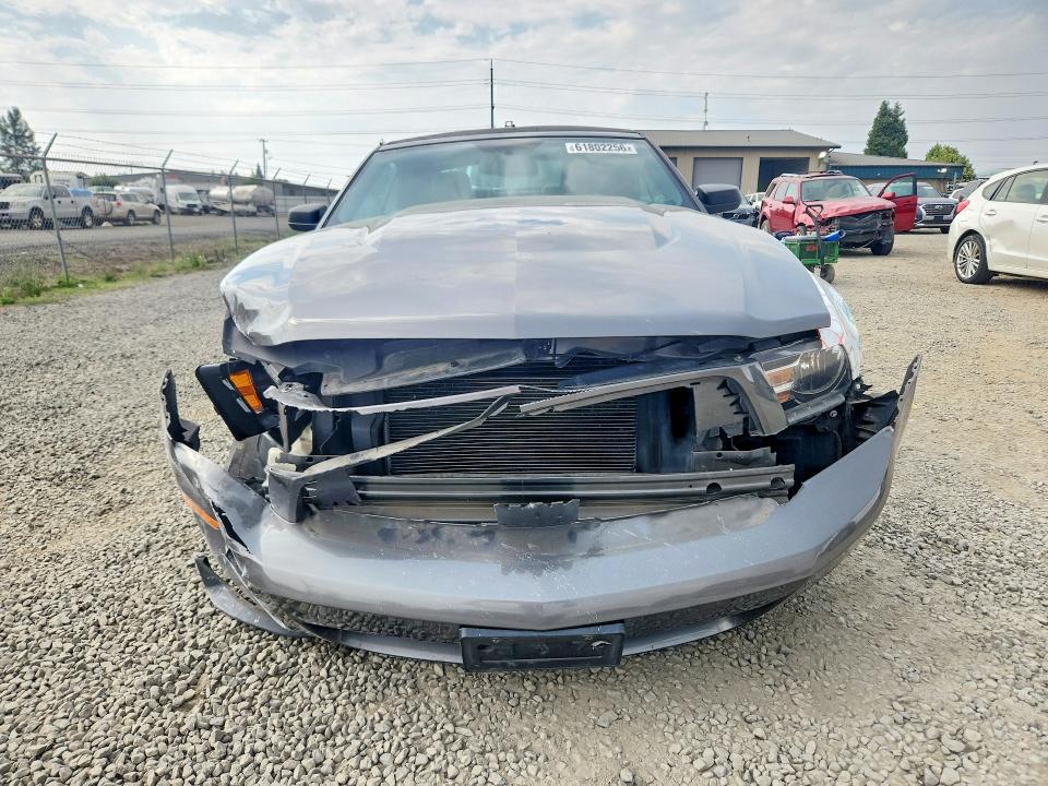 Продаж на аукціоні авто 2010 Ford Mustang, vin: 1ZVBP8EN6A5124640, номер лоту: 61802256