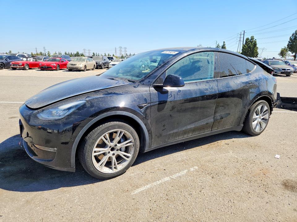 59719476 :رقم المزاد ، 5YJYGAED5MF136292 vin ، 2021 Tesla Model Y مزاد بيع