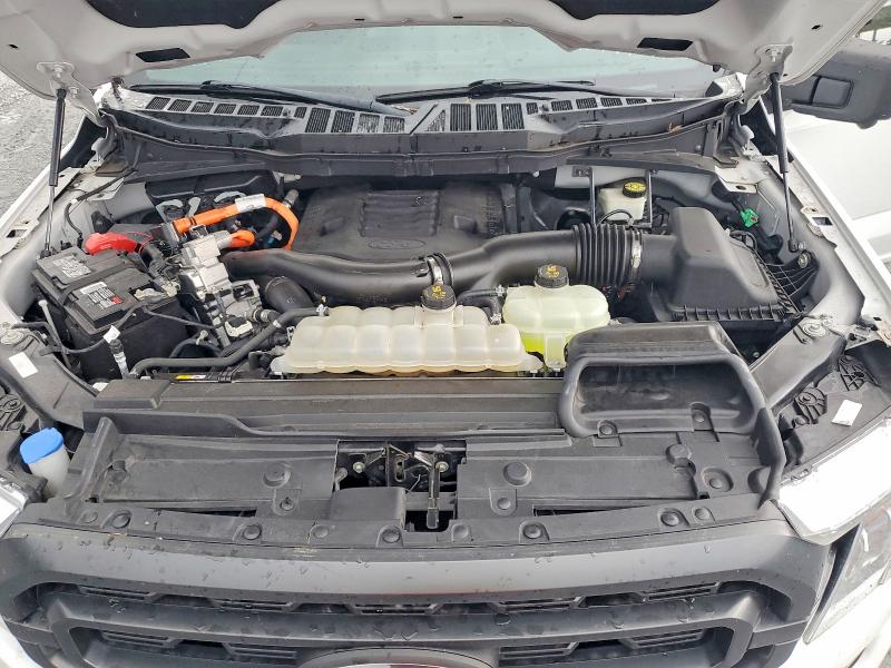 63288696 :رقم المزاد ، 1FTFW1CD1MFC92323 vin ، 2021 Ford F150 مزاد بيع