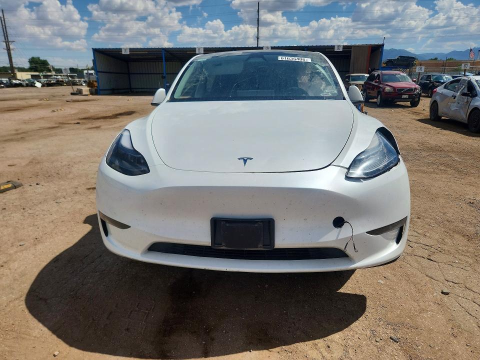 Aukcja sprzedaży 2024 Tesla Model Y, vin: 7SAYGDEE1RA312790, numer aukcji: 61635406