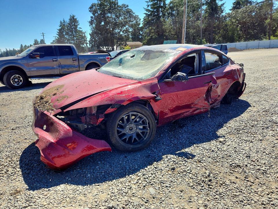 2024 Tesla Model 3 მანქანა იყიდება აუქციონზე, vin: 5YJ3E1EB2RF811988, აუქციონის ნომერი: 63514416