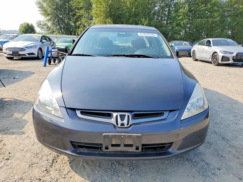 61878706 :رقم المزاد ، 1HGCM56495A197245 vin ، 2005 Honda Accord مزاد بيع