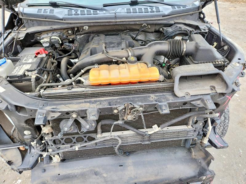 2016 Ford F150 მანქანა იყიდება აუქციონზე, vin: 1FTEW1EP6GFB65445, აუქციონის ნომერი: 62900236