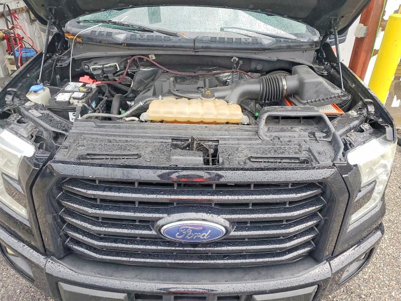 Aukcja sprzedaży 2017 Ford F150, vin: 1FTEW1CP1HFA41894, numer aukcji: 63007916