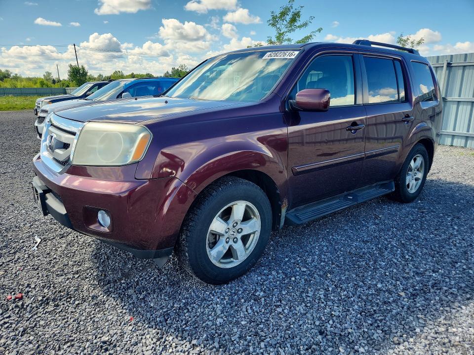 2009 Honda Pilot მანქანა იყიდება აუქციონზე, vin: 5FNYF48669B016512, აუქციონის ნომერი: 62822616