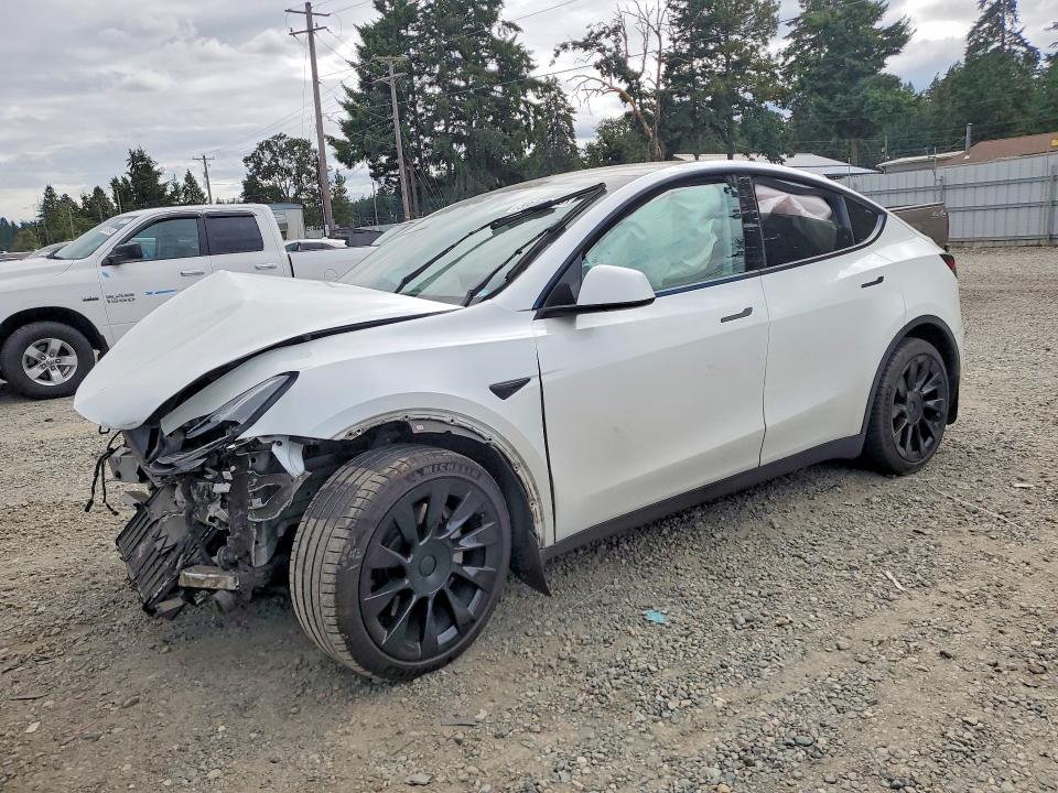 2021 Tesla Model  Y მანქანა იყიდება აუქციონზე, vin: 5YJYGDEE9MF098009, აუქციონის ნომერი: 59297956