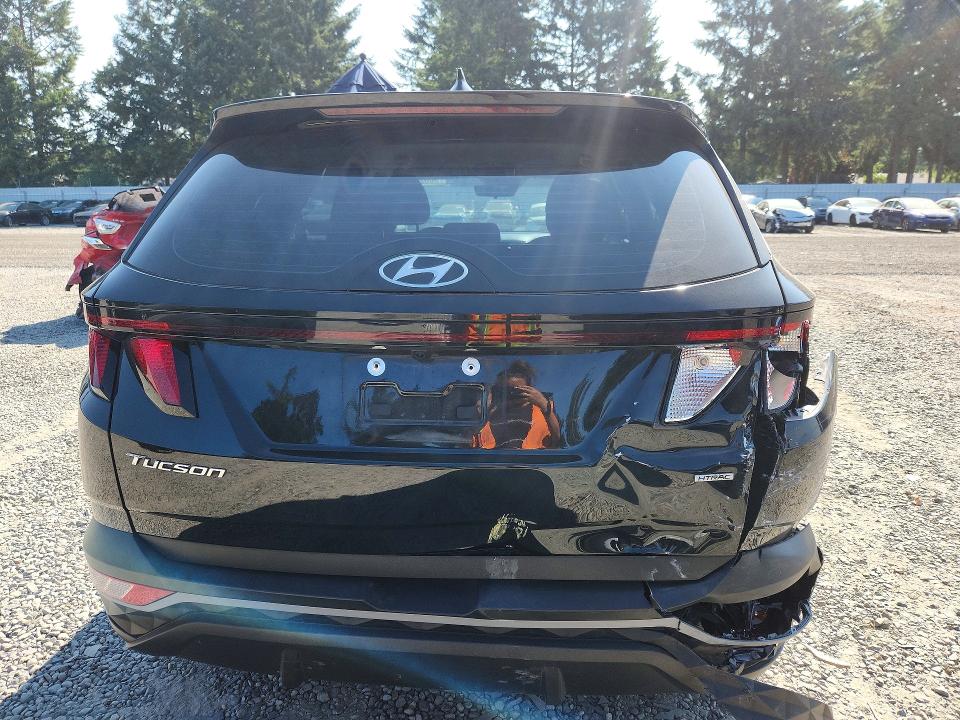 Продаж на аукціоні авто 2023 Hyundai Tucson, vin: 5NMJACAEXPH176576, номер лоту: 60825076