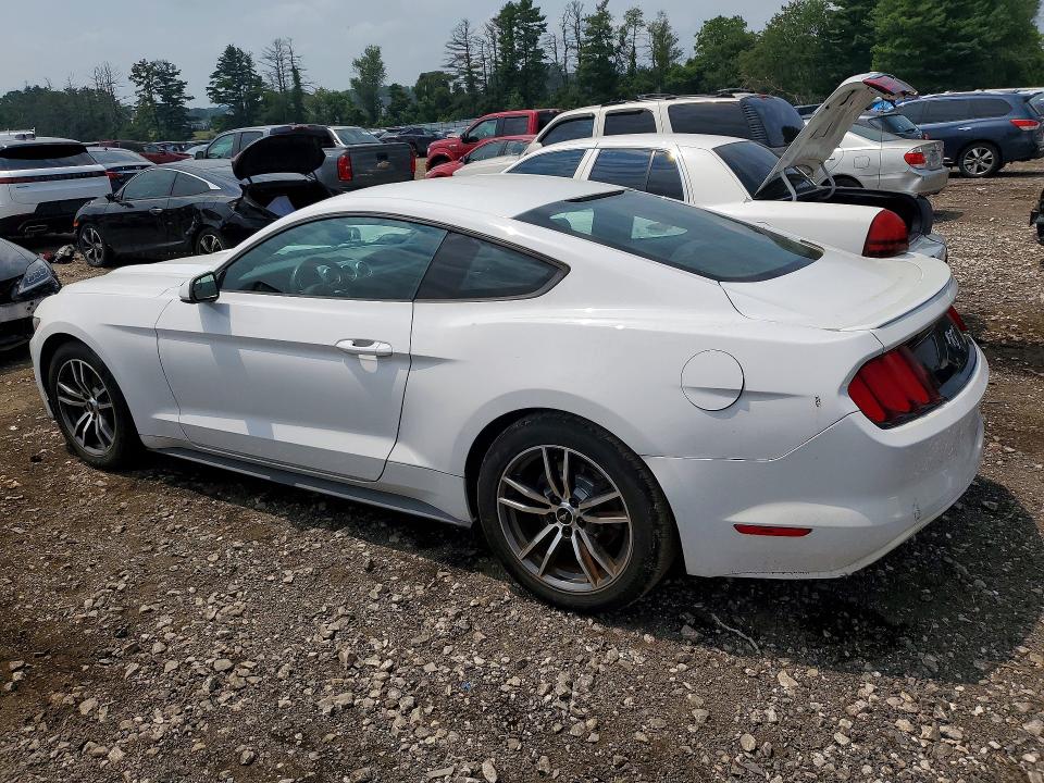 Aukcja sprzedaży 2017 Ford Mustang, vin: 1FA6P8TH1H5256223, numer aukcji: 61977316