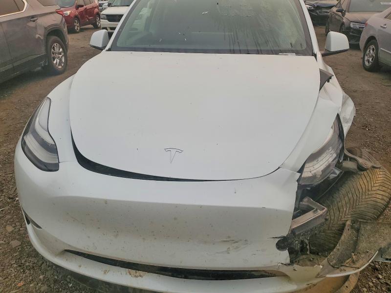 Aukcja sprzedaży 2021 Tesla Model Y, vin: 5YJYGDEE3MF109201, numer aukcji: 60873436