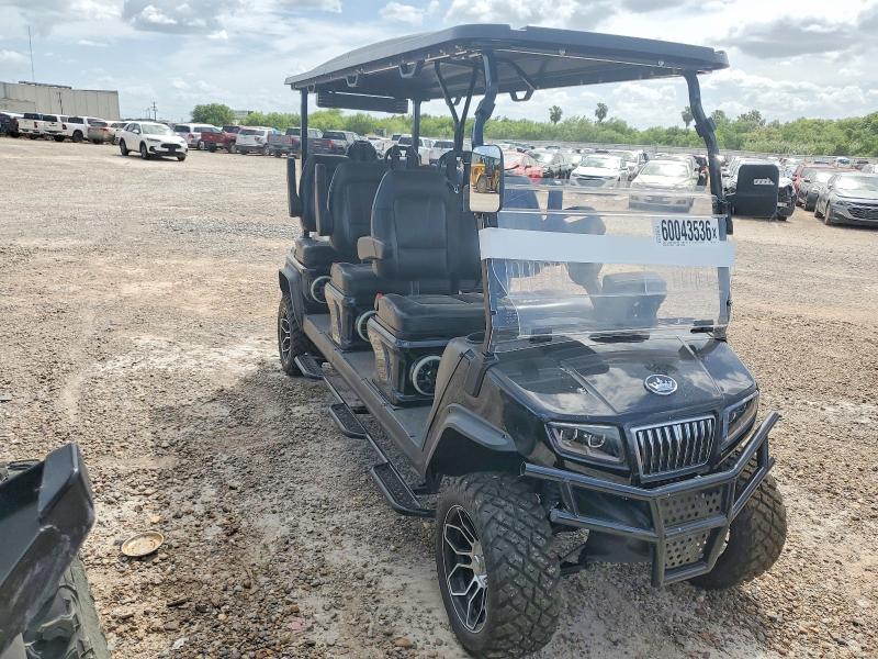 Aukcja sprzedaży 2025 Evolution Golf Cart, vin: EVBE0359420, numer aukcji: 60043536