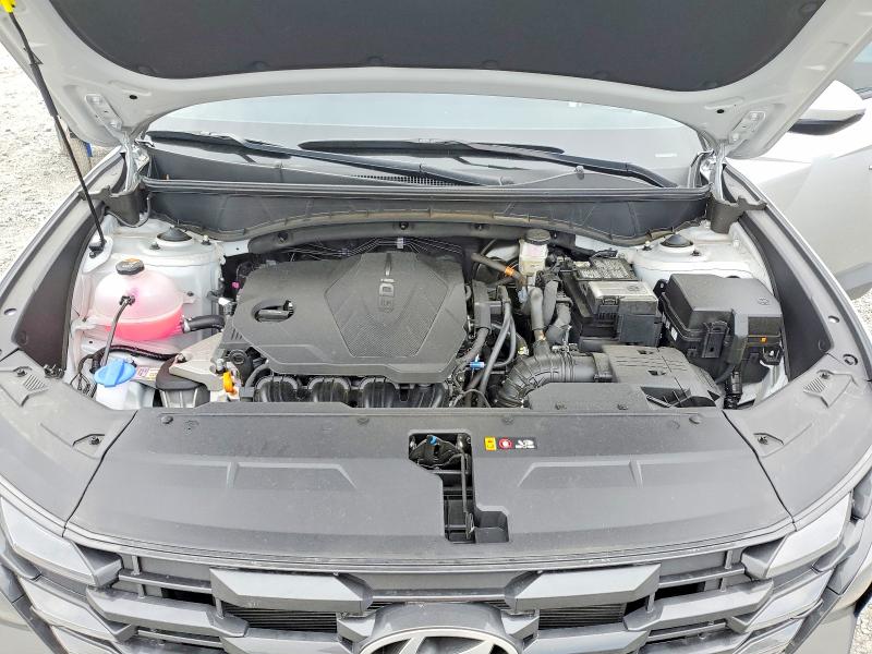 Продаж на аукціоні авто 2025 Hyundai Tucson, vin: 5NMJB3DE9SH554856, номер лоту: 61619276