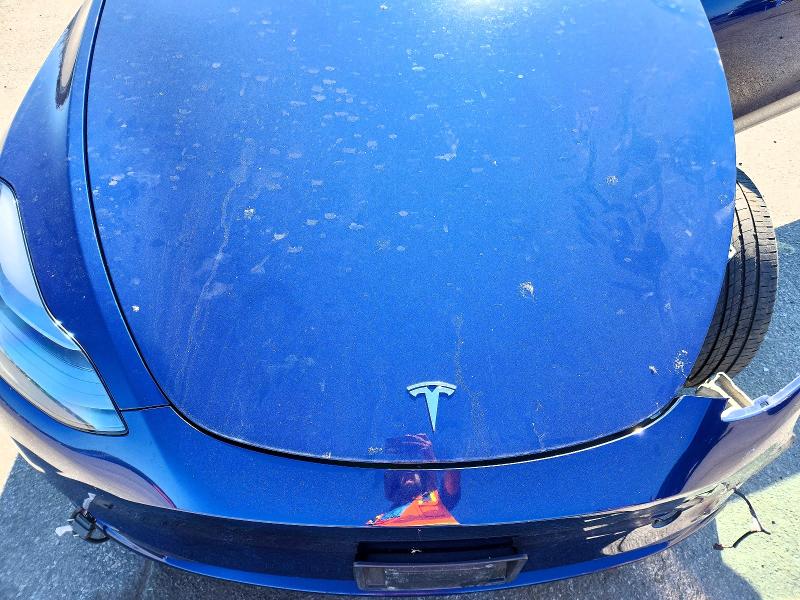 Aukcja sprzedaży 2023 Tesla Model Y, vin: 7SAYGDEE1PF835307, numer aukcji: 61739756