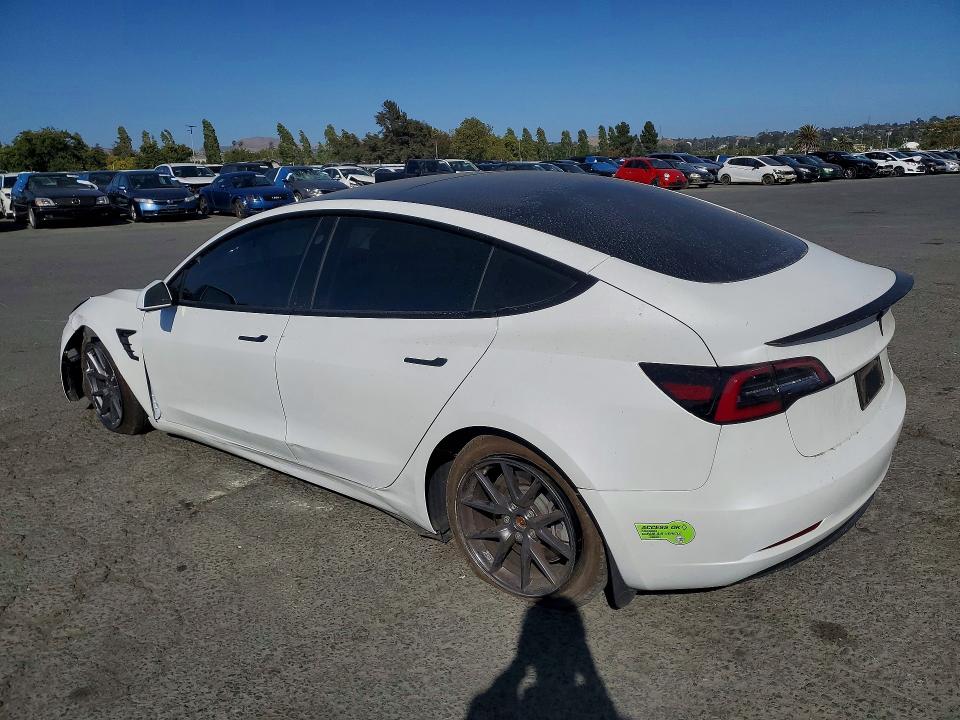2023 Tesla Model 3 მანქანა იყიდება აუქციონზე, vin: 5YJ3E1EA7PF496173, აუქციონის ნომერი: 59391596