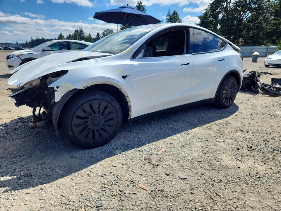 2021 Tesla Model  Y მანქანა იყიდება აუქციონზე, vin: 5YJYGDEE7MF153685, აუქციონის ნომერი: 61488066