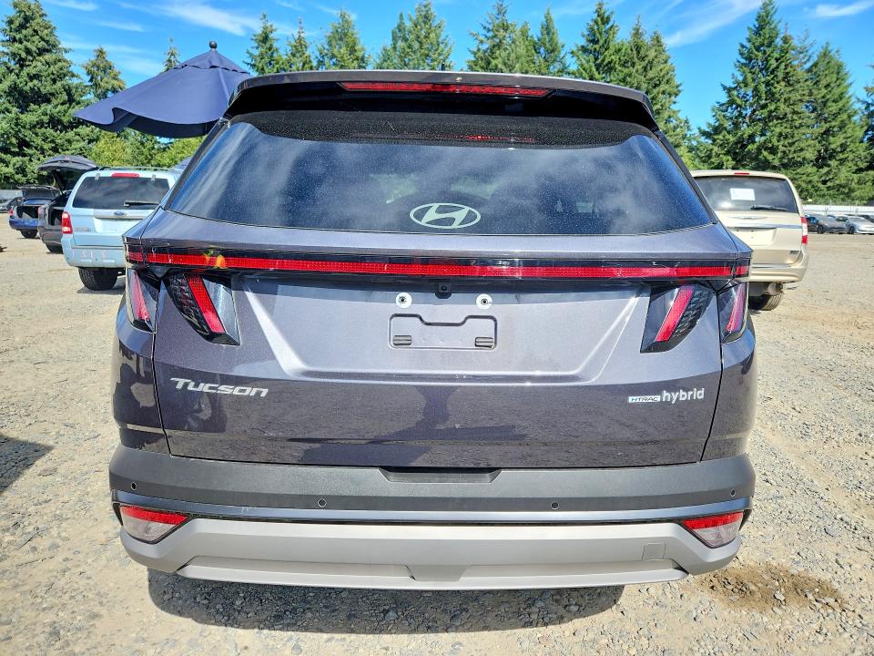 Продаж на аукціоні авто 2025 Hyundai Tucson, vin: KM8JEDD12SU328799, номер лоту: 63226436