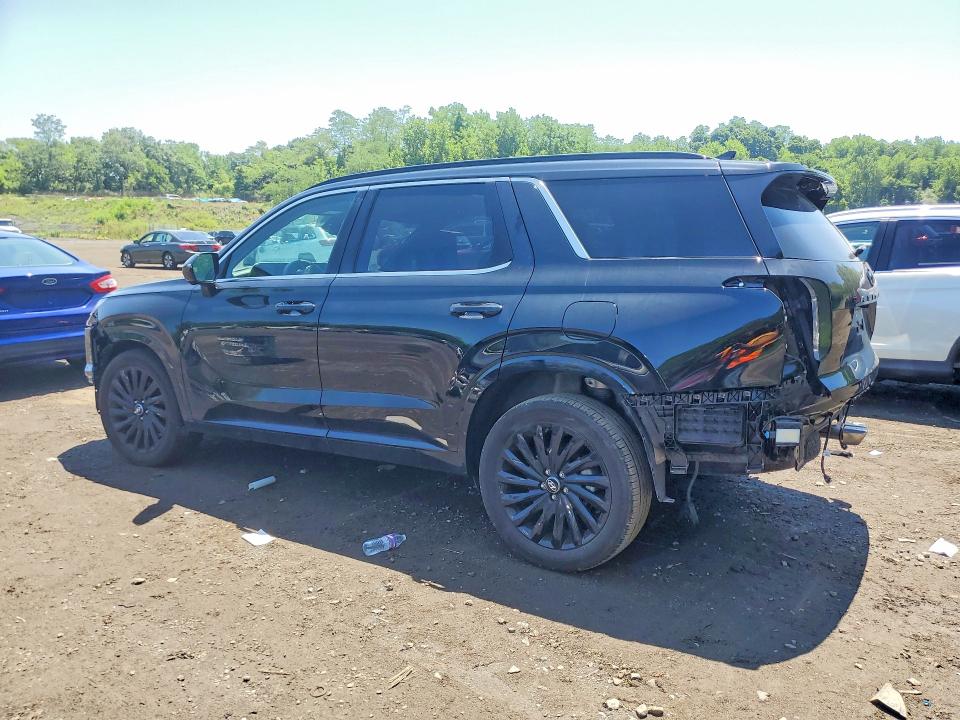 Aukcja sprzedaży 2025 Hyundai Palisade, vin: KM8R7DGE2SU925978, numer aukcji: 60299246