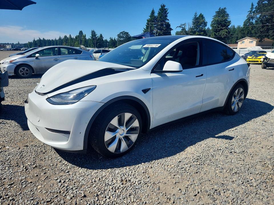 Продажа на аукционе авто 2021 Tesla Model Y, vin: 5YJYGDEE4MF204169, номер лота: 59644116