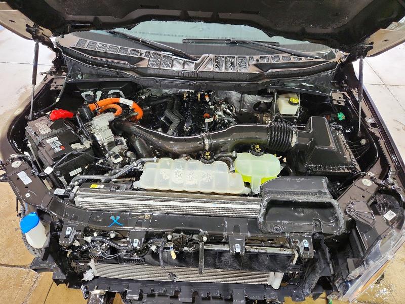 Продаж на аукціоні авто 2024 Ford F150, vin: 1FTFW3LDXRFA63061, номер лоту: 61222106