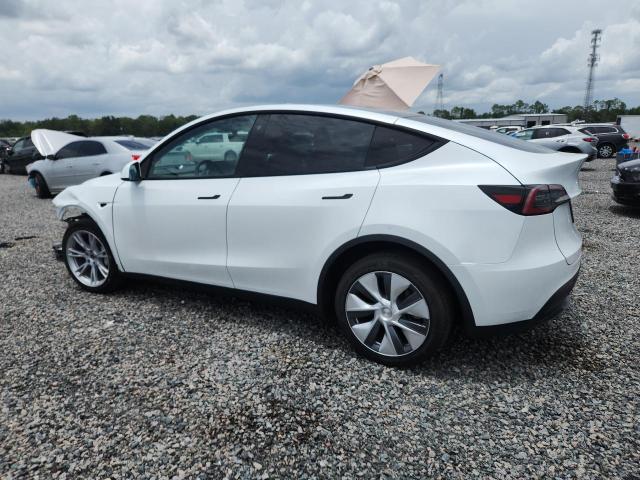 Продаж на аукціоні авто 2023 Tesla Model Y, vin: 7SAYGDEE4PA124228, номер лоту: 60360116