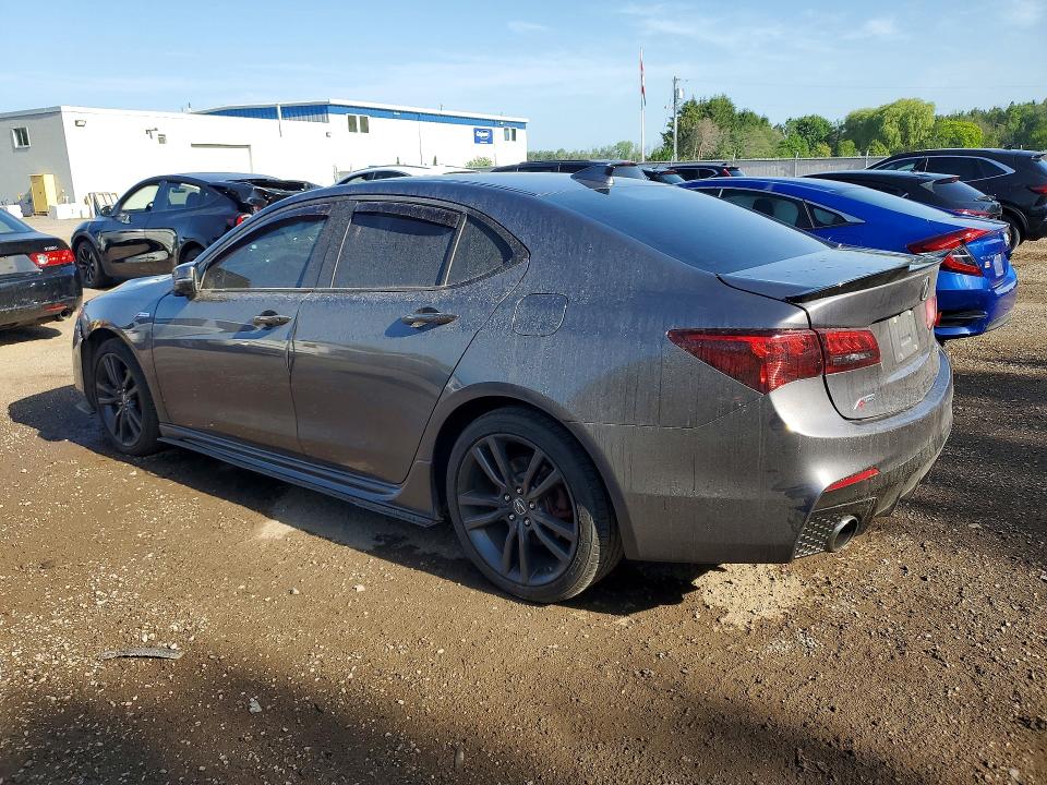 59311096 :رقم المزاد ، 19UUB3F62LA802428 vin ، 2020 Acura Tlx مزاد بيع