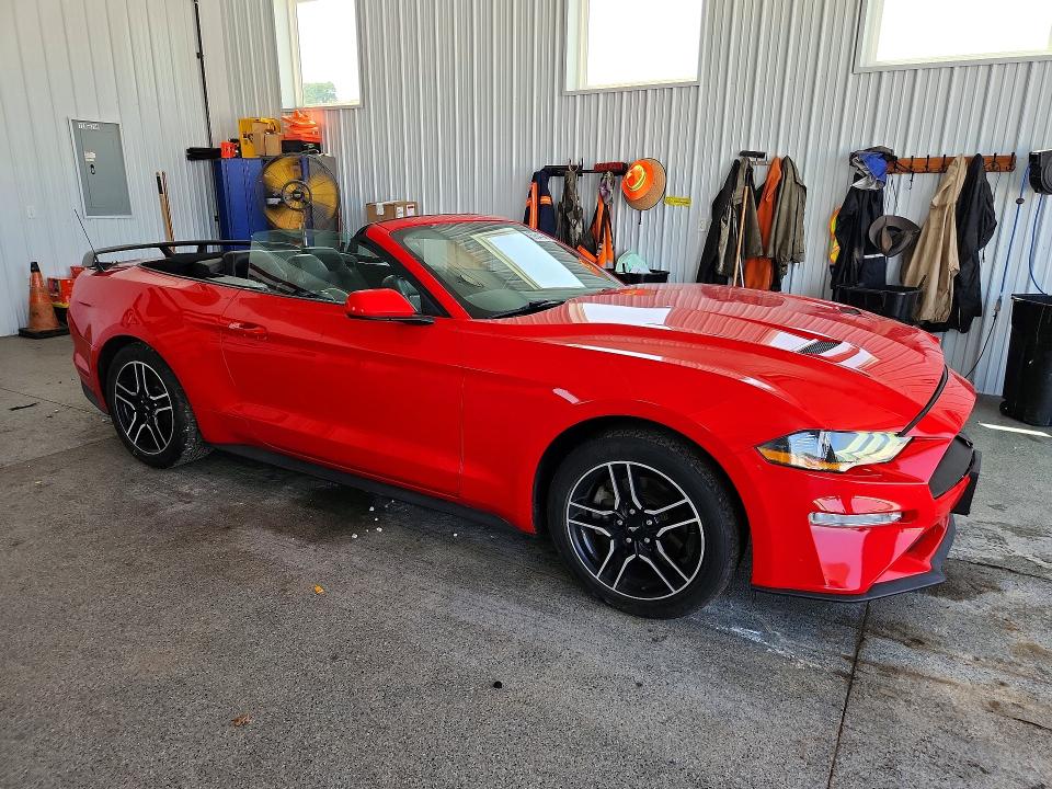 Продажа на аукционе авто 2021 Ford Mustang, vin: 1FATP8UH1M5105748, номер лота: 59644346