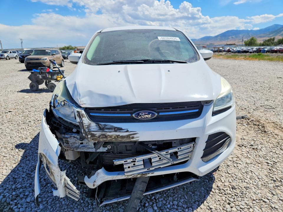 Продажа на аукционе авто 2014 Ford Escape, vin: 1FMCU9GX6EUE10872, номер лота: 60384826