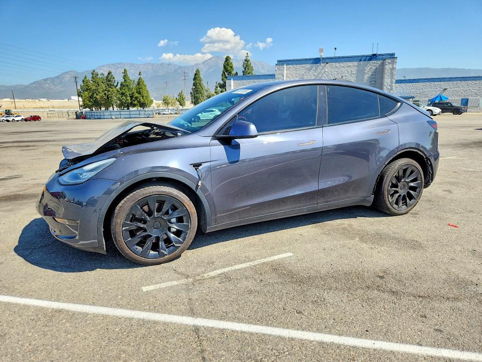 Auction sale of the 2021 Tesla Model Y, vin: 5YJYGDEE6MF159560, lot number: 59013656