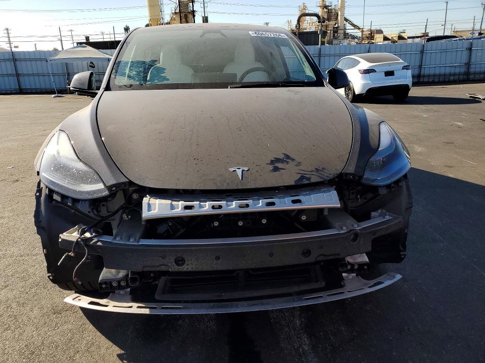 Aukcja sprzedaży 2025 Tesla Model Y, vin: 7SAYGDEE8SF235022, numer aukcji: 60657266