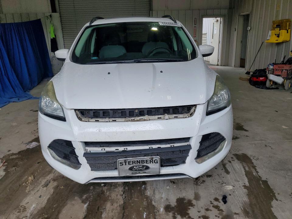 2016 Ford Escape მანქანა იყიდება აუქციონზე, vin: 1FMCU0GX3GUA19130, აუქციონის ნომერი: 60600046