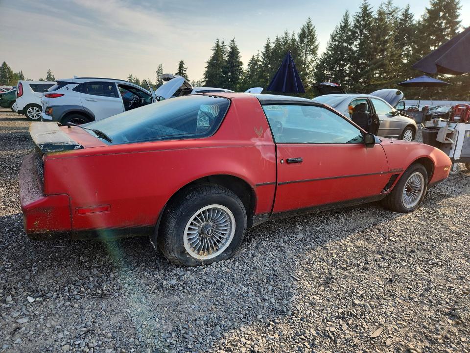 61086786 :رقم المزاد ، 1G2AW8779CL558084 vin ، 1982 Pontiac Firebird مزاد بيع