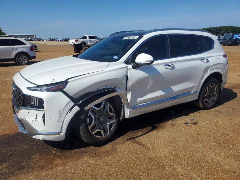Aukcja sprzedaży 2021 Hyundai Santa Fe, vin: 5NMS5DAL3MH344289, numer aukcji: 62483996