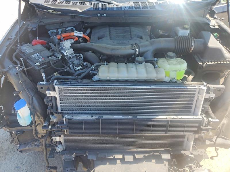 2023 Ford F150 მანქანა იყიდება აუქციონზე, vin: 1FTFW1ED2PFA10739, აუქციონის ნომერი: 59399356