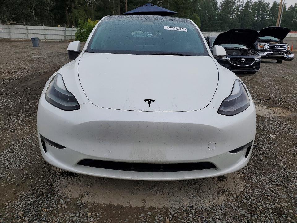 2023 Tesla Model Y მანქანა იყიდება აუქციონზე, vin: 7SAYGDEEXPF682572, აუქციონის ნომერი: 60808256