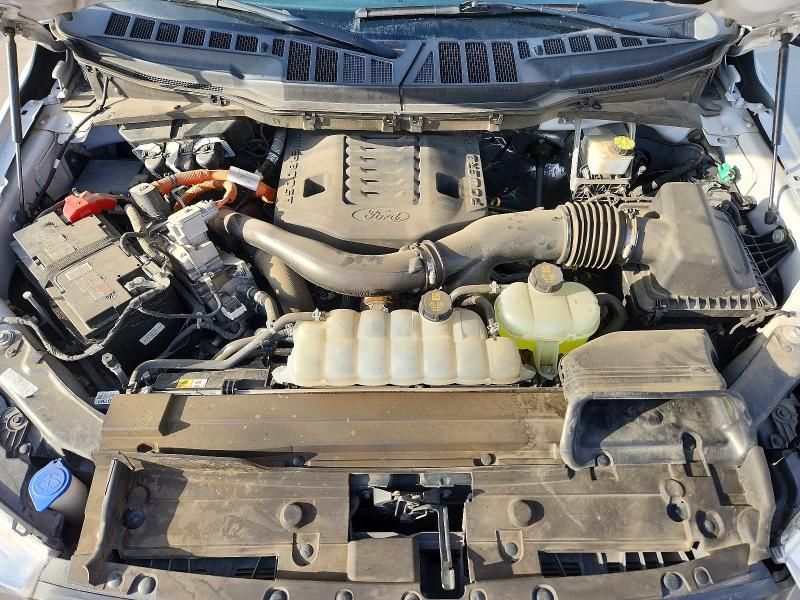 Продаж на аукціоні авто 2023 Ford F150, vin: 1FTFW1ED4PFD05275, номер лоту: 61081816