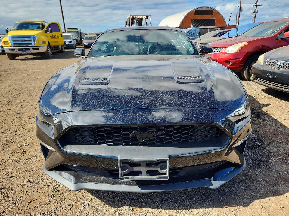 61988466 :رقم المزاد ، 1FA6P8TH5P5108025 vin ، 2023 Ford Mustang مزاد بيع